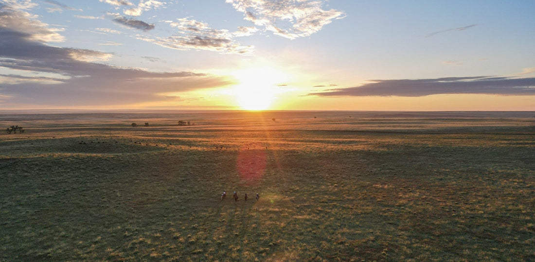 This Month From The Ranch - March 2026