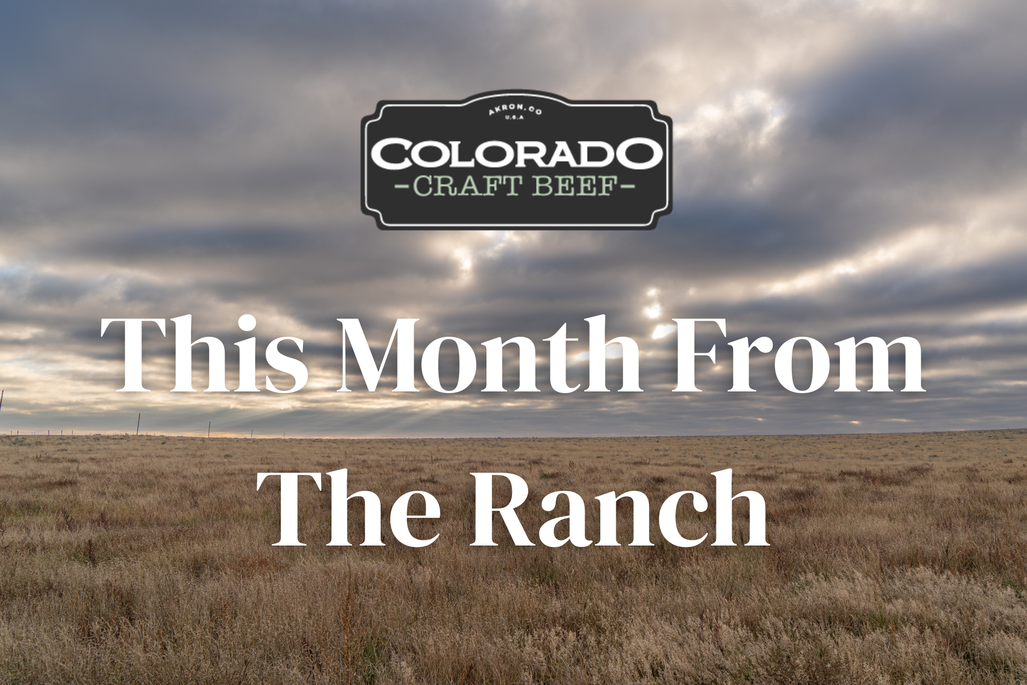 This Month From The Ranch - April 2026 – Colorado Craft Beef