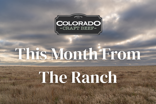 This Month From The Ranch - April 2026