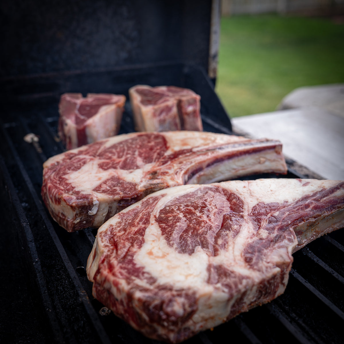 Ribeye & Grind Box – Colorado Craft Beef